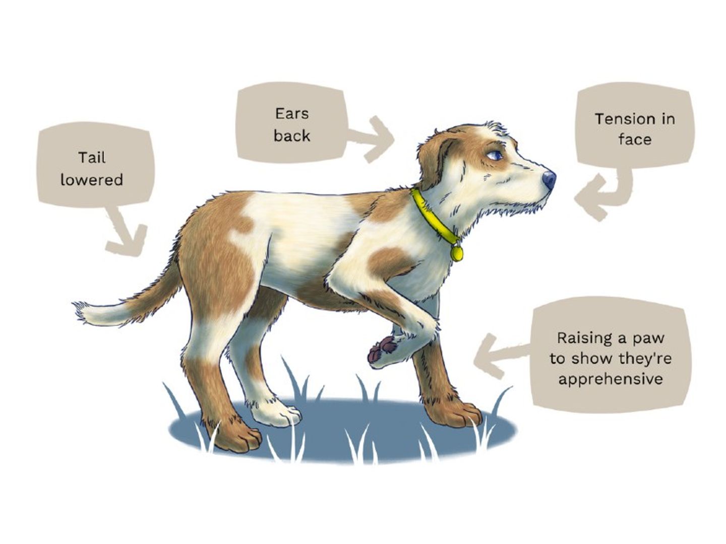 Dog body language illustration anxiety 5