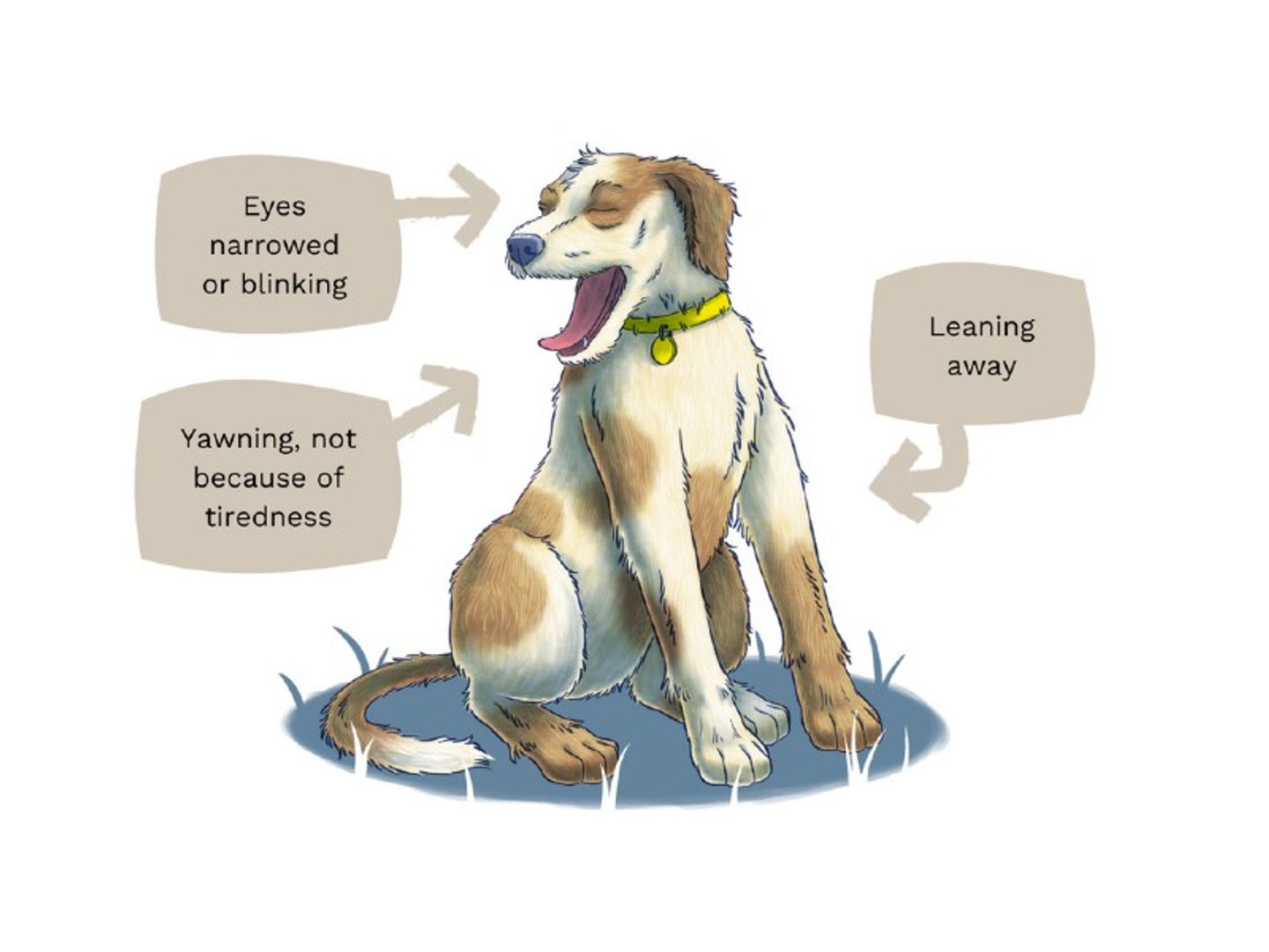 Dog body language illustration anxiety 2