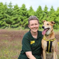 Jake the Crossbreed sitting in a meadow with a Canine Carer