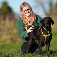 Daisy recovered from mange and neglect, enjoying a walk with her canine carer.