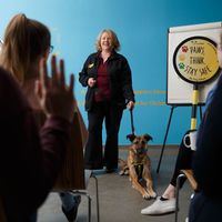 A woman wearing a red tshirt, black trousers and a black jacket is standing at the top of a room. She is holding the lead of a brown Lurcher dog who is lying down on the ground. There is a paper flip chart standing beside her and a sign that reads "Paws, Think, Stay Safe". There is a group of people sitting down on chairs in the foreground of the photo and one of them has their hand raised