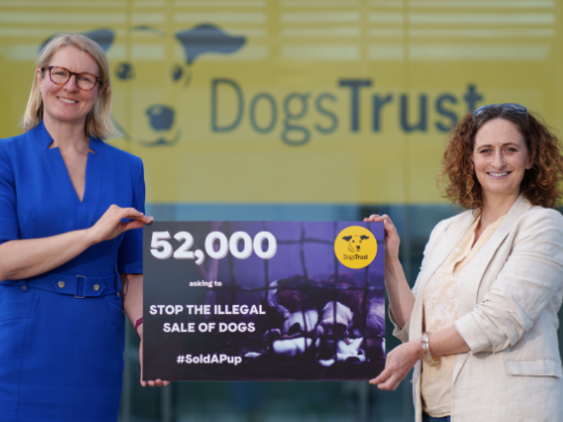 Dogs Trust delivers over 52,000 signatures to Oireachtas Committee ...