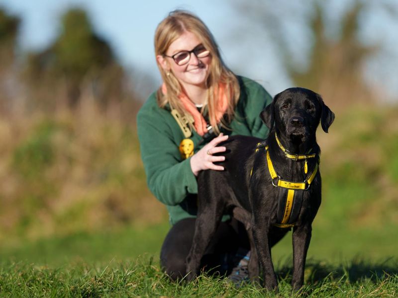 Daisy recovered from mange and neglect, enjoying a walk with her canine carer.