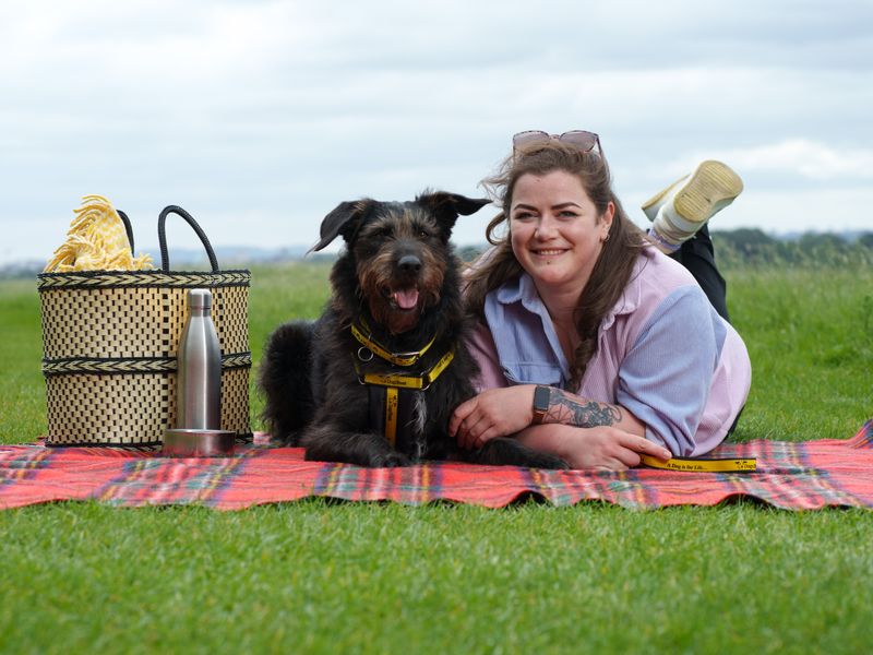 Woman and black dog pose on a picnic blanket in a green field