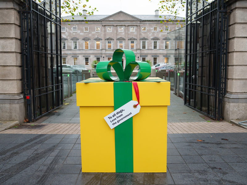 Giant yellow gift box with green bow and gift tag reading "To all dogs, Love from the government", pictured in front of the gates of Leinster House